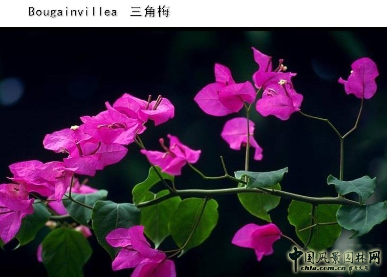 設計師 設計理念 景觀設計 體驗式設計