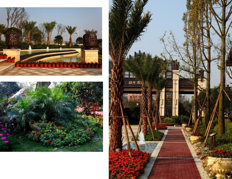 設(shè)計師 設(shè)計理念 景觀設(shè)計 體驗式設(shè)計