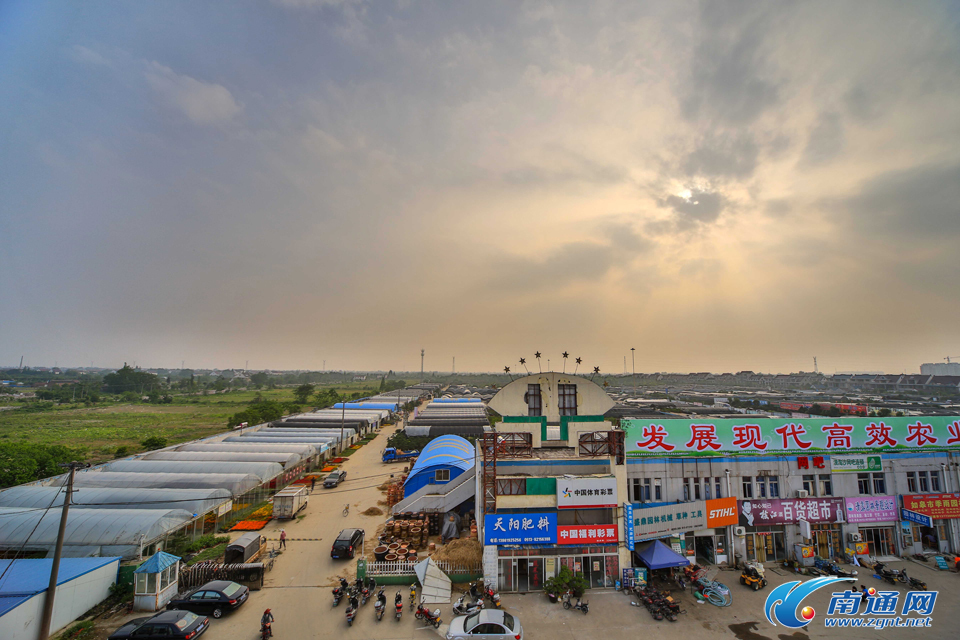 園藝產業 園藝產業園 如皋國際園