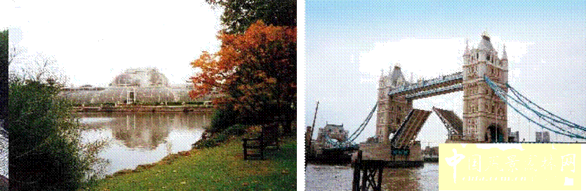 城市園林 城市綠化 花卉產業 植物園