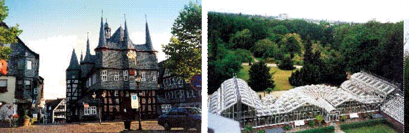 城市園林 城市綠化 花卉產業(yè) 植物園