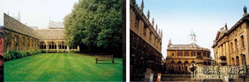 城市園林 城市綠化 花卉產業 植物園