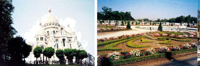 城市園林 城市綠化 花卉產業 植物園