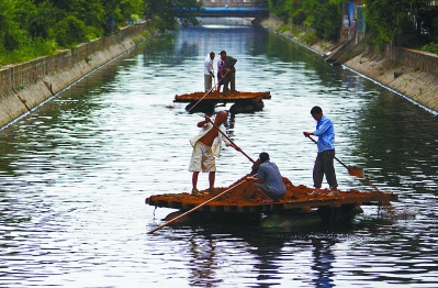 南京栽種植物改善水環境