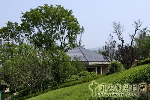 天開園林 魯能領(lǐng)秀城 景觀工程