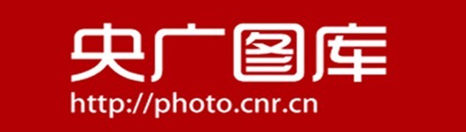 世界屋頂綠化大會 攝影比賽 屋頂綠化