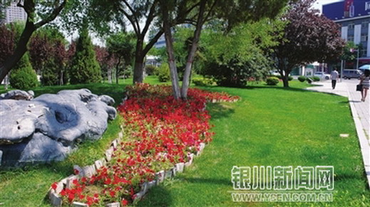 寧夏 花卉 銀川