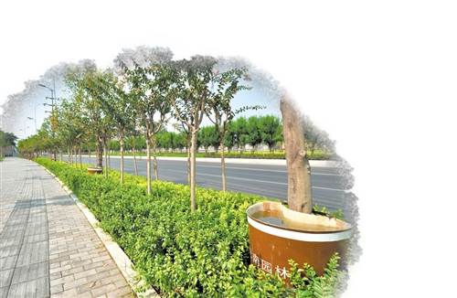 巴南:自研“神器”確保園林植物滋潤度夏