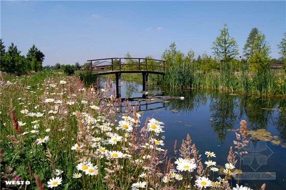 荷蘭馬克西姆公園蜂網狀長廊