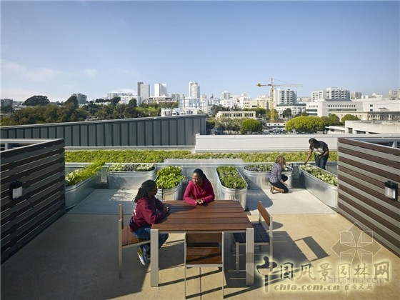 美國加利福尼亞理查森公寓景觀花園