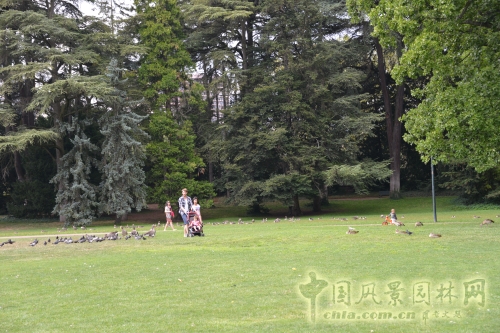 金頭公園大草坪