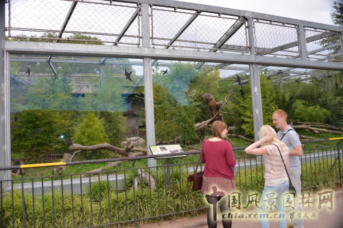 金頭公園小動物園