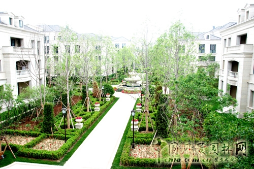 天香園林 景觀工程 景觀園林