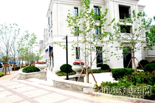 天香園林 景觀工程 景觀園林