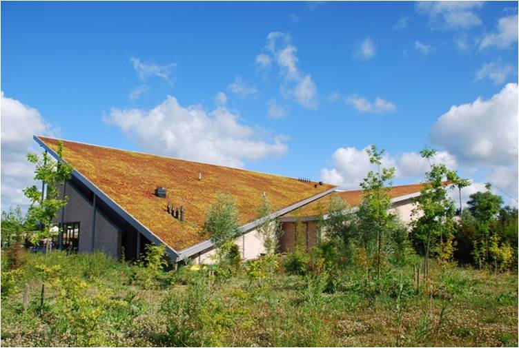 屋頂綠化 仇保興 屋頂綠化大會(huì) 立體綠化