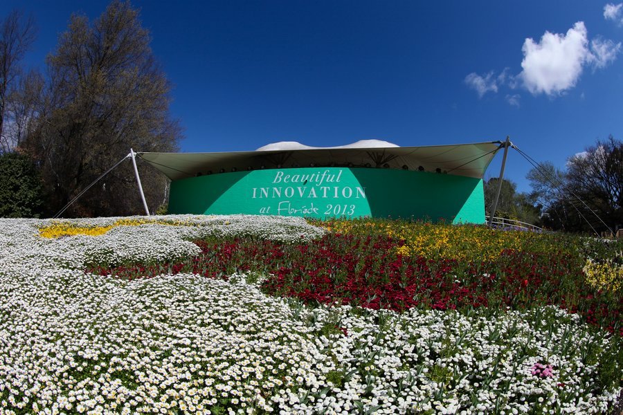 澳大利亞堪培拉花卉節(jié) 花卉節(jié) 球莖花朵