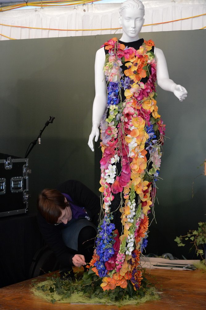 澳大利亞堪培拉花卉節(jié) 花卉節(jié) 球莖花朵