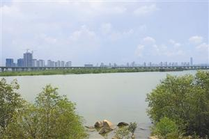 景觀長廊 生態景觀 高速景觀 深圳寶安