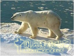 王曉璘 生態(tài)社區(qū) 城鄉(xiāng)改造 在地理論 環(huán)境保護