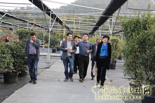 杭州園林 杭州市園林綠化股份有限公司 青山湖