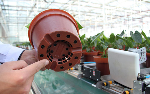 花卉車間的每個花盆內底部都嵌入了RFID芯片