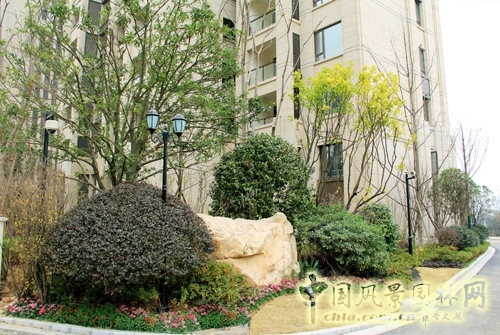 住宅景觀獎 躍馬園林 金茂梅溪湖