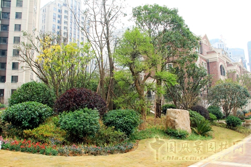 住宅景觀獎 躍馬園林 金茂梅溪湖