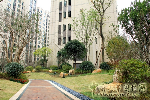 住宅景觀獎 躍馬園林 金茂梅溪湖