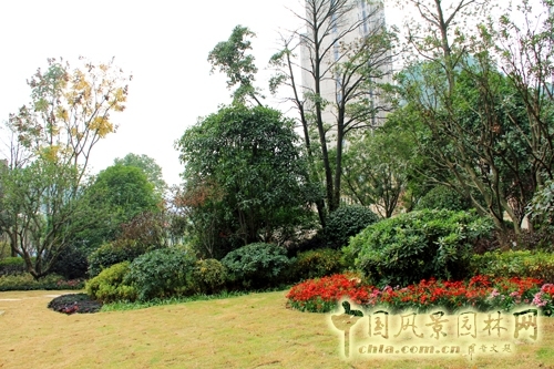 住宅景觀獎 躍馬園林 金茂?梅溪湖