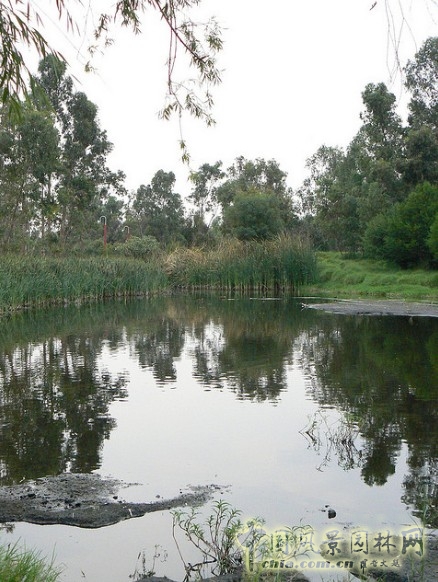 霍奇米爾科 生態公園