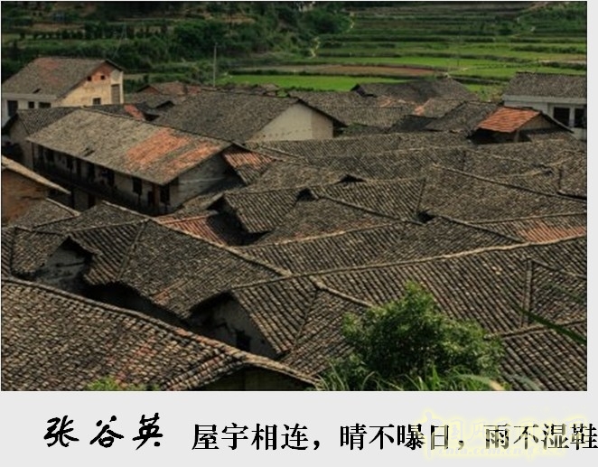 胡希軍 非物質(zhì)文化遺產(chǎn) 張谷英村 傳統(tǒng)禮俗