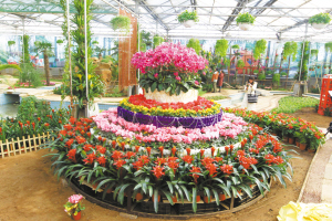 “鮮花蛋糕”喜氣洋洋。記者郄磊攝