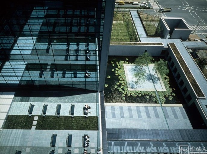 IBM大樓花園環境