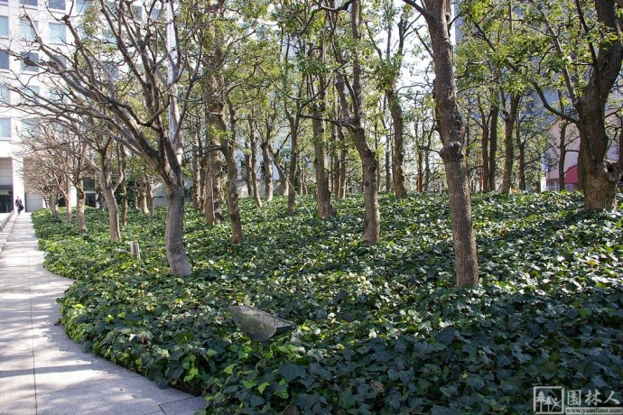 IBM大樓花園環境