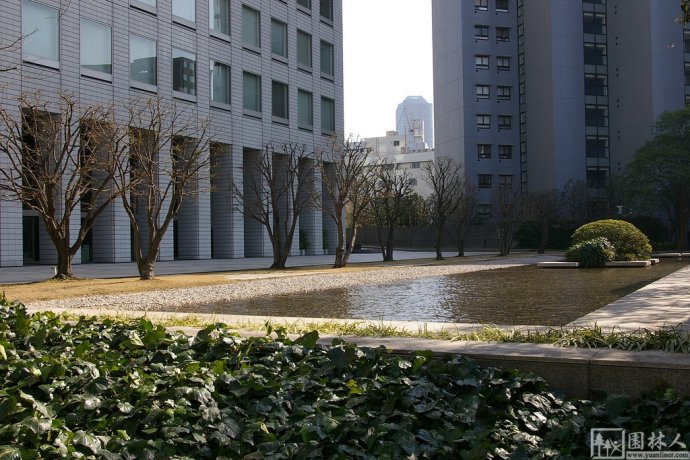 IBM大樓花園環境