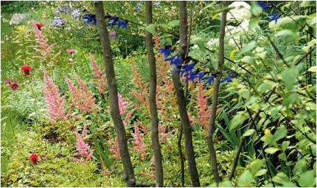 日本中部大學鏡花園