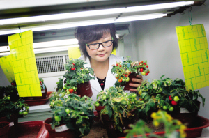 天津北方網(wǎng)