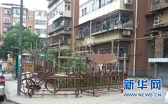 居民區內占用綠地蓋成的小菜園