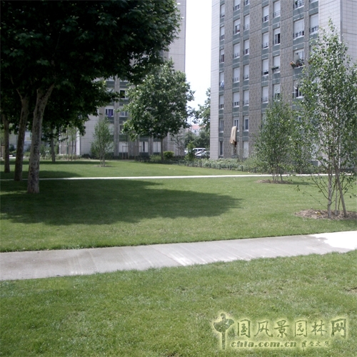 阿森納街區(qū)