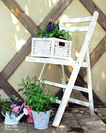 巧手在家種植物