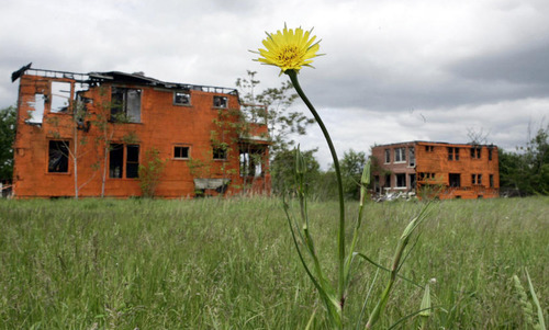 底特律轉(zhuǎn)型 園林城 景觀園林