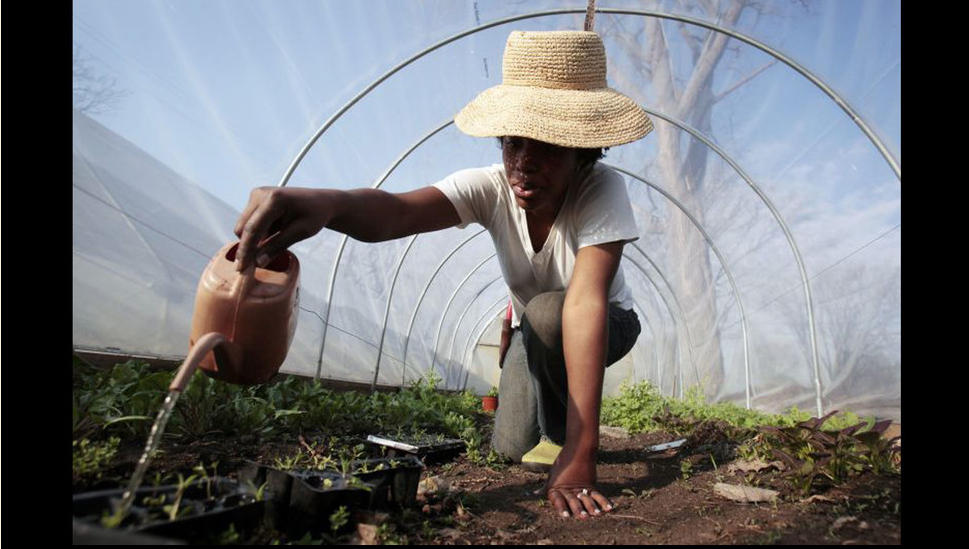 底特律轉(zhuǎn)型 園林城 景觀園林