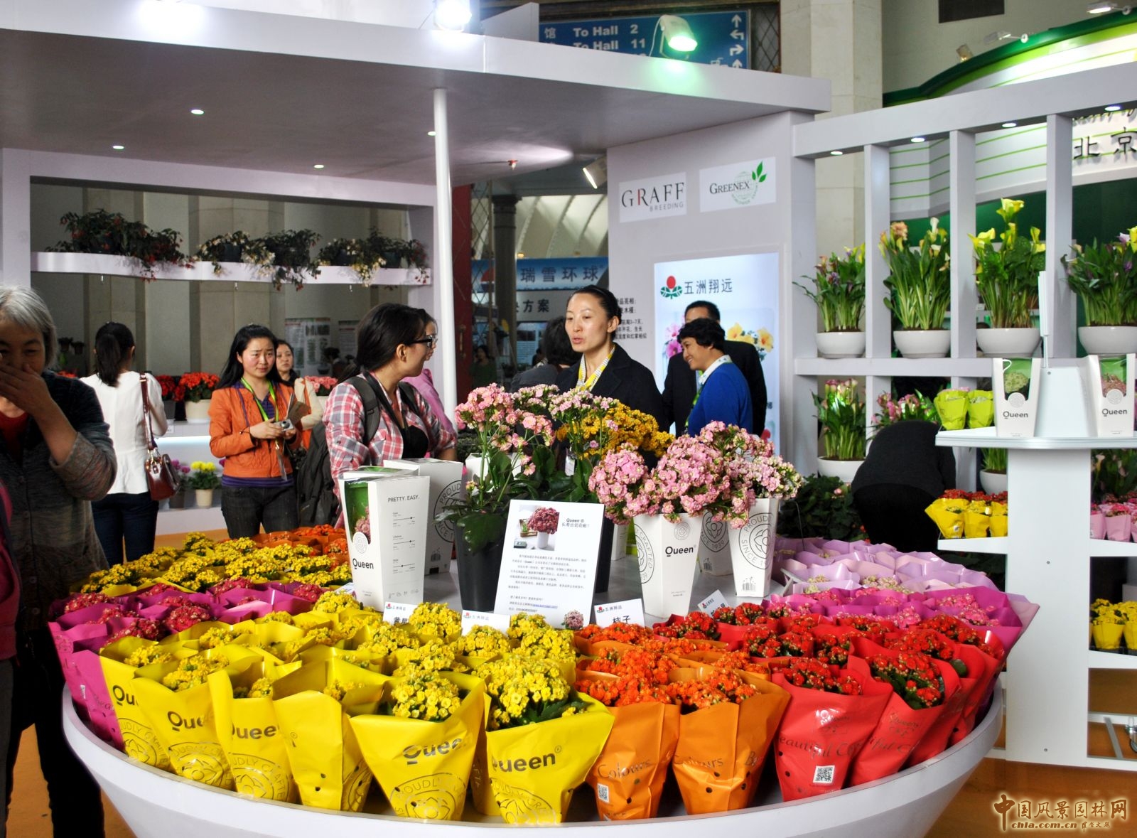 第十六屆中國(guó)國(guó)際花卉園藝展覽