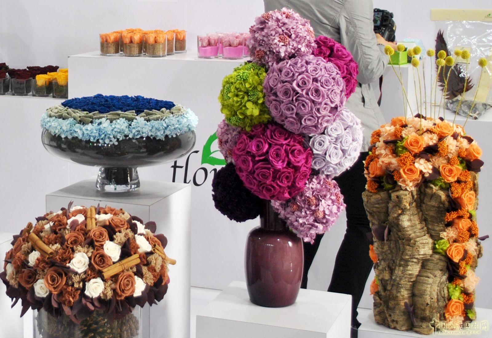 第十六屆中國國際花卉園藝展覽