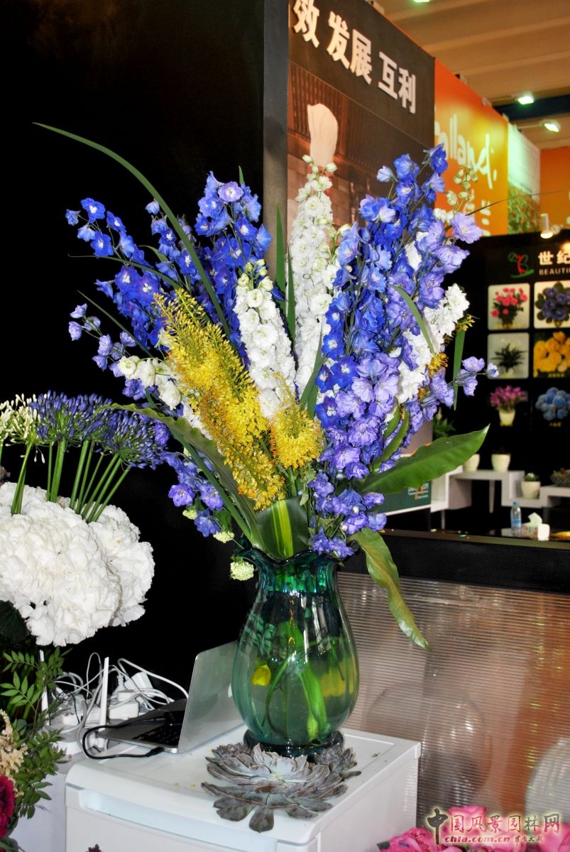 第十六屆中國國際花卉園藝展覽