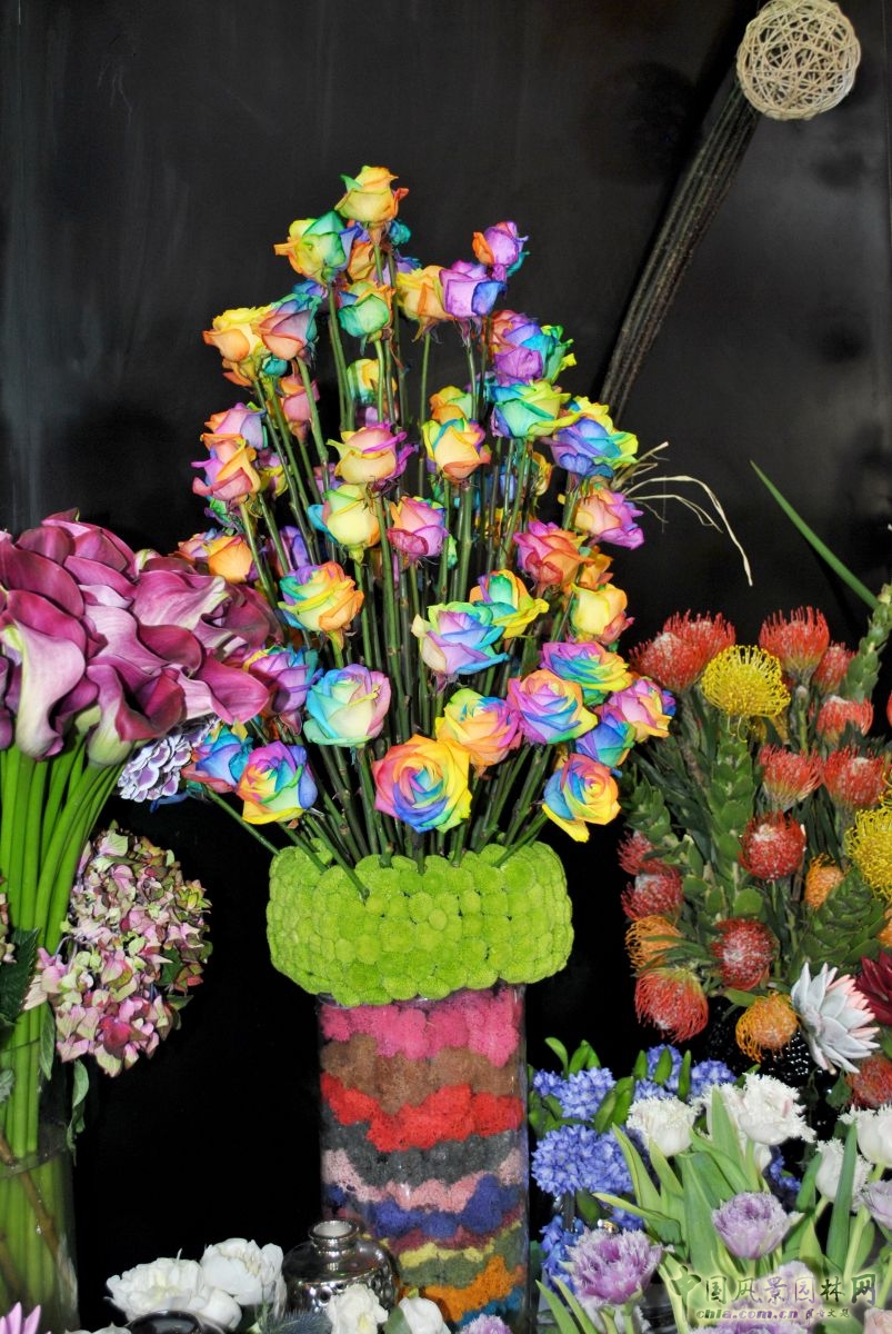 第十六屆中國國際花卉園藝展覽