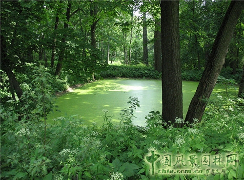 雅斯納亞?波良納