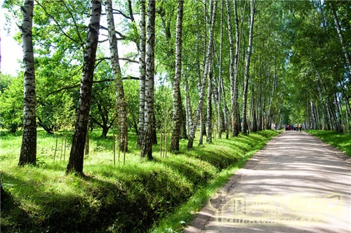 雅斯納亞?波良納