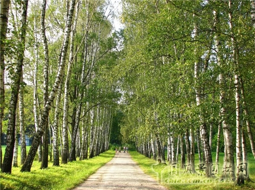 雅斯納亞?波良納