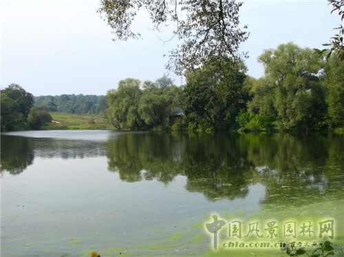 雅斯納亞?波良納